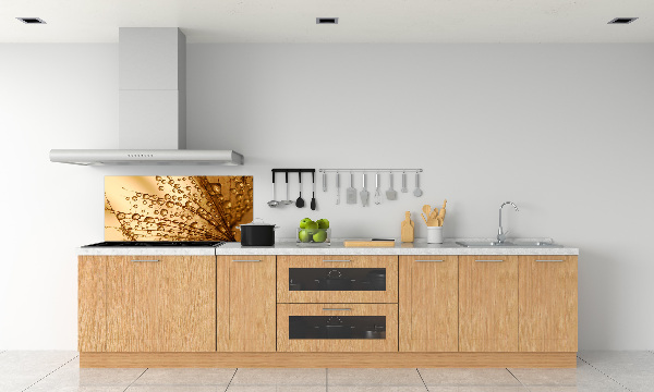 Küchen wandpaneel Löwenzahnsamen