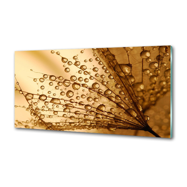 Küchen wandpaneel Löwenzahnsamen