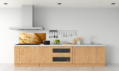 Küchen wandpaneel Löwenzahnsamen