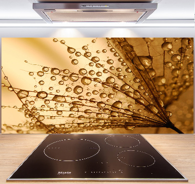 Küchen wandpaneel Löwenzahnsamen