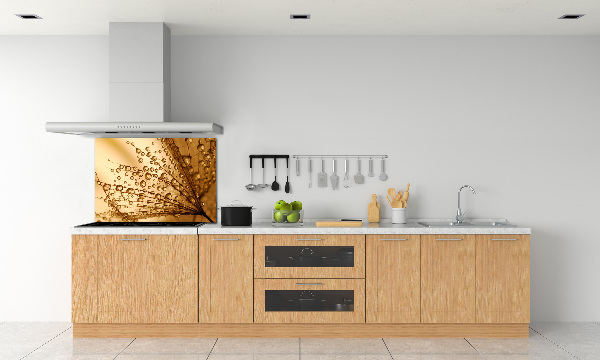 Küchen wandpaneel Löwenzahnsamen