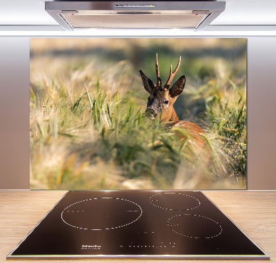 Küchen wandpaneel Hirsche im Feld
