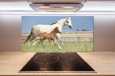 Glasrückwand für die küche Stute mit Fohlen