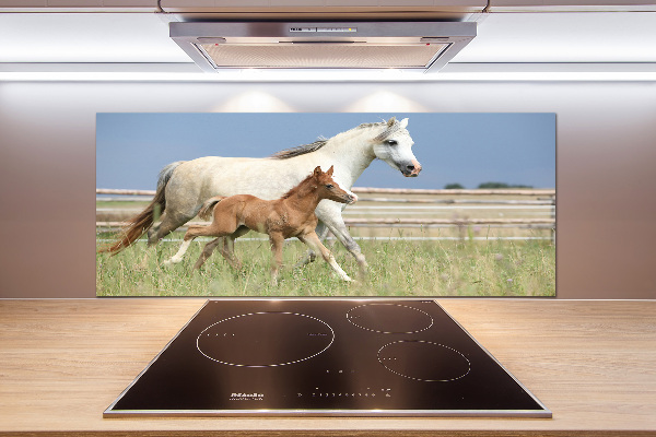 Glasrückwand für die küche Stute mit Fohlen