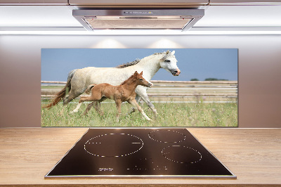 Glasrückwand für die küche Stute mit Fohlen