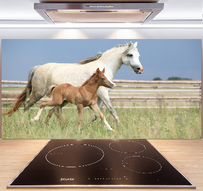 Glasrückwand für die küche Stute mit Fohlen