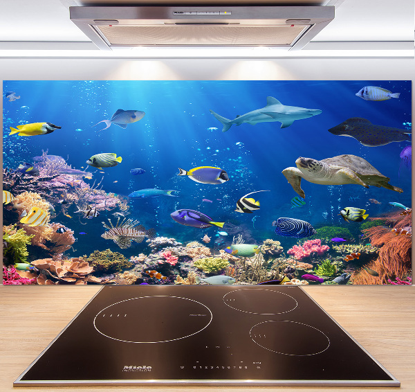 Glasrückwand für die küche Korallenriff