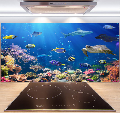 Glasrückwand für die küche Korallenriff