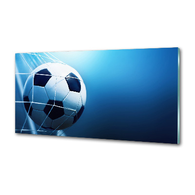 Glasrückwand für die küche Der Ball ist im Tor