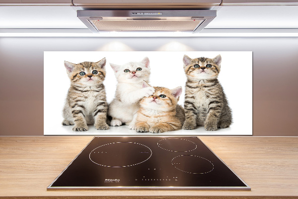 Platte für Küchenrückwand Kleine Katzen