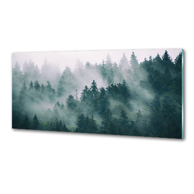 Glasrückwand für die küche Nebel über dem Wald