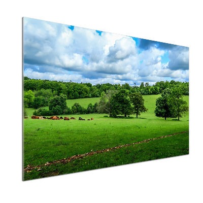 Küchen wandpaneel Grüne Hügel