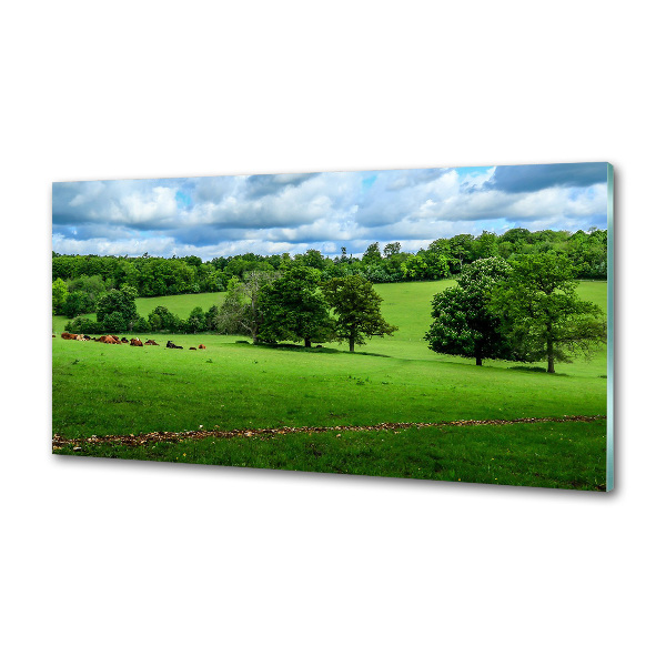 Küchen wandpaneel Grüne Hügel