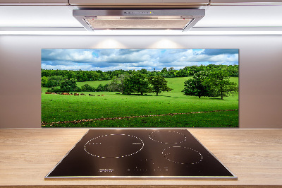 Küchen wandpaneel Grüne Hügel