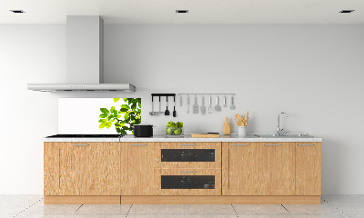 Platte für Küchenrückwand Blätter