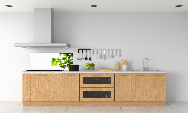 Platte für Küchenrückwand Blätter