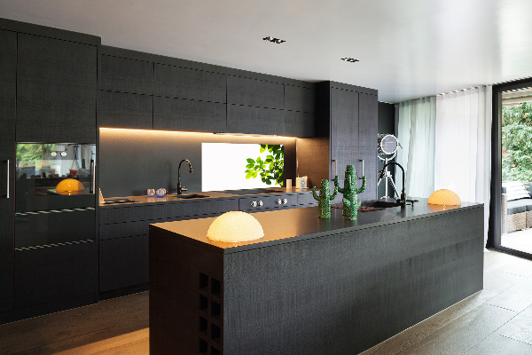 Platte für Küchenrückwand Blätter