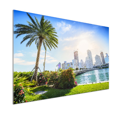 Platte für Küchenrückwand Miami, USA