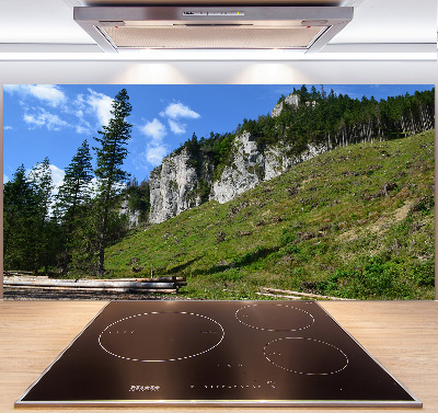 Küchen wandpaneel Felsige Gipfel