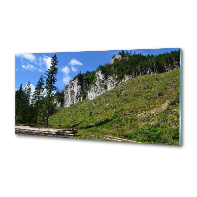 Küchen wandpaneel Felsige Gipfel