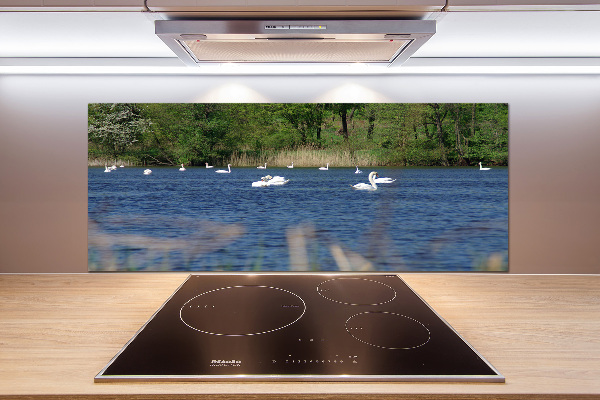 Glasrückwand für die küche Weiße Schwäne