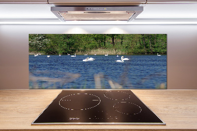 Glasrückwand für die küche Weiße Schwäne