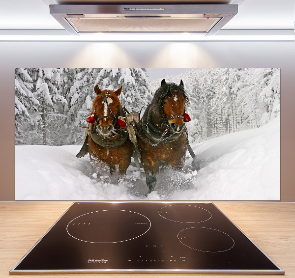 Platte für Küchenrückwand Schlittenfahrt