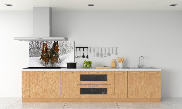 Platte für Küchenrückwand Schlittenfahrt