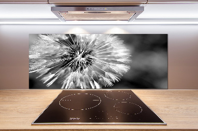 Glasrückwand für die küche Löwenzahn