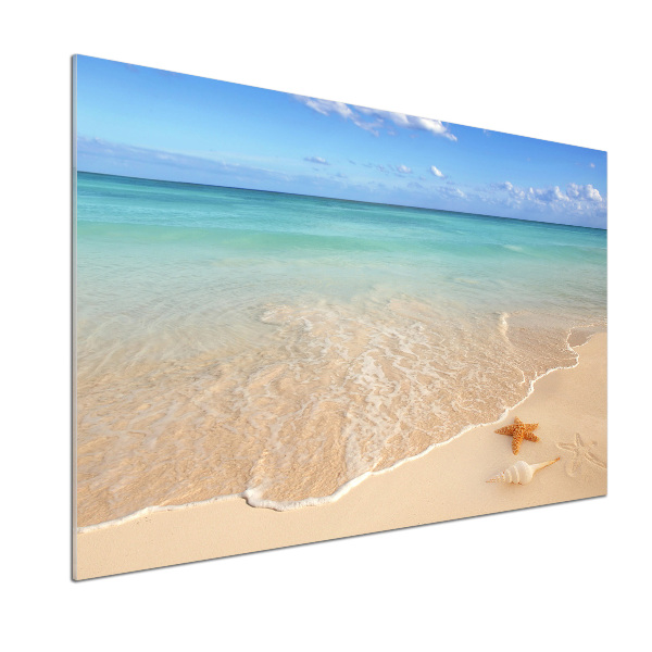 Platte für Küchenrückwand Seesterne am Strand