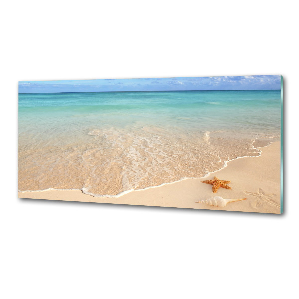 Platte für Küchenrückwand Seesterne am Strand