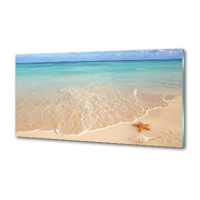 Platte für Küchenrückwand Seesterne am Strand