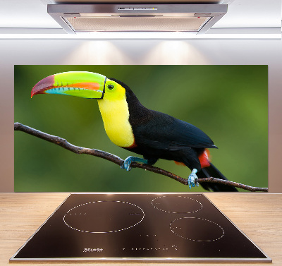 Küchen wandpaneel Tukan