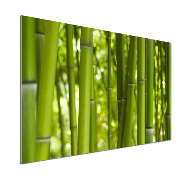 Platte für Küchenrückwand Bambus