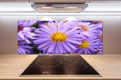 Glasrückwand für die küche Astern