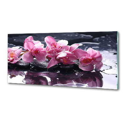 Küchen wandpaneel Rosa Orchidee