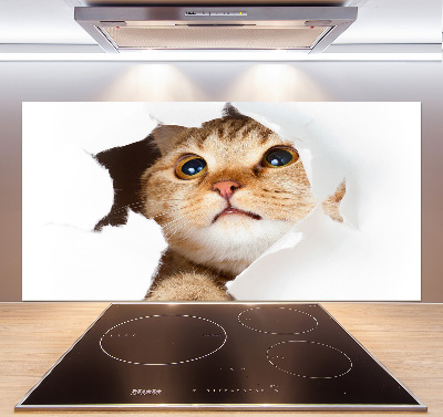 Glasrückwand für die küche Katze im Loch