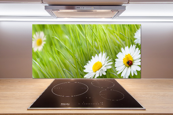 Küchen wandpaneel Gänseblümchen