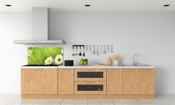 Küchen wandpaneel Gänseblümchen