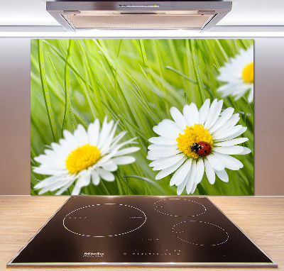 Küchen wandpaneel Gänseblümchen