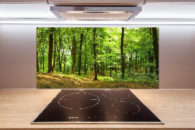 Glasrückwand für die küche Waldweg