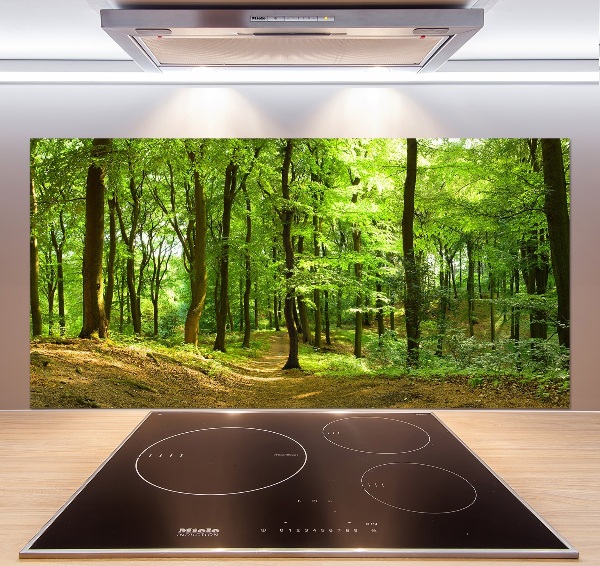 Glasrückwand für die küche Waldweg