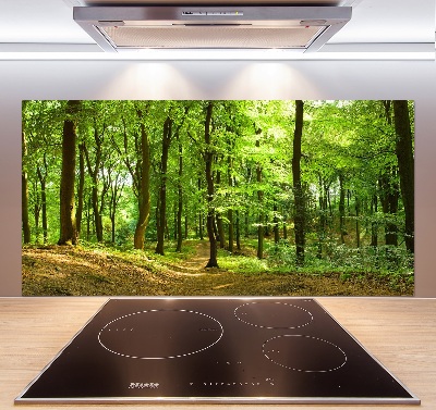 Glasrückwand für die küche Waldweg