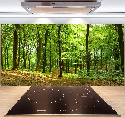 Glasrückwand für die küche Waldweg