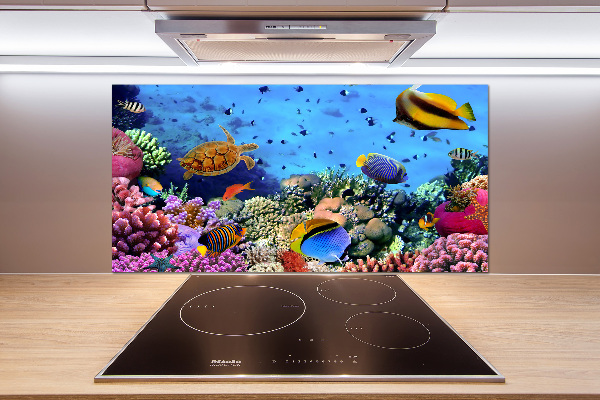 Platte für Küchenrückwand Korallenriff