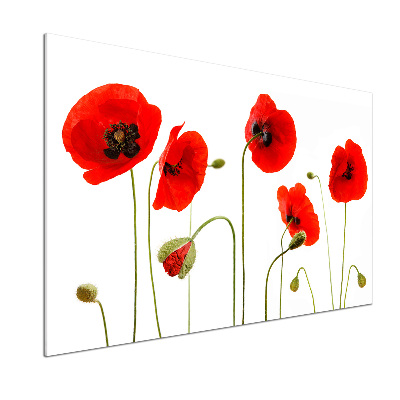 Glasrückwand für die küche Mohnblumen