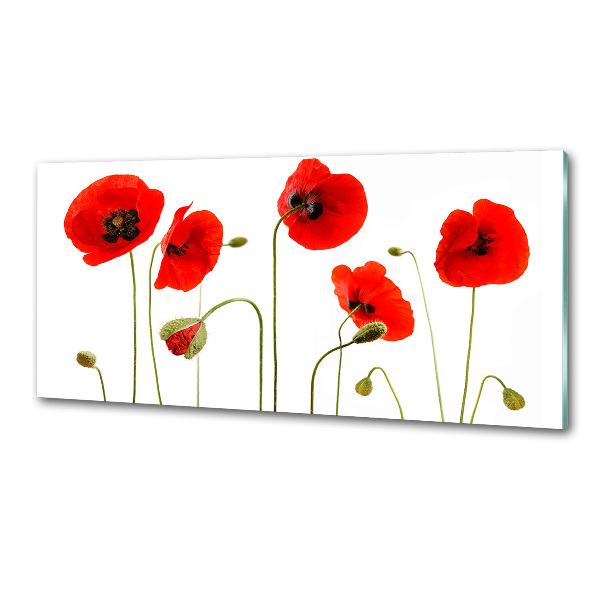 Glasrückwand für die küche Mohnblumen