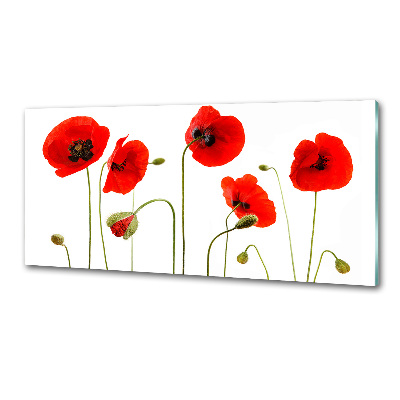 Glasrückwand für die küche Mohnblumen