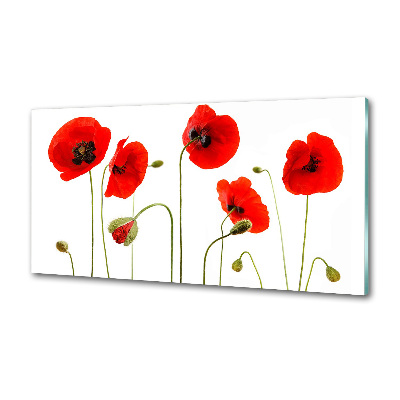 Glasrückwand für die küche Mohnblumen