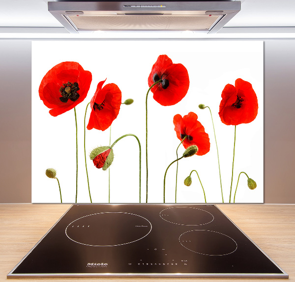 Glasrückwand für die küche Mohnblumen